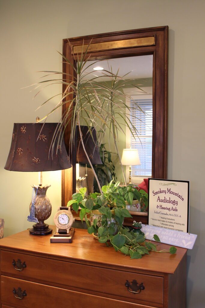 Inside the Smokey Mountain Audiology office in Sevierville, TN